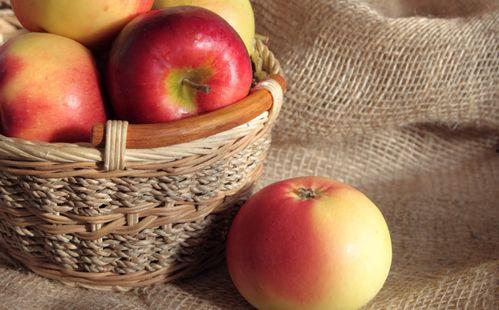 水果视频在线视频