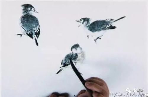 国画小鸟的画法在线视频,轻松掌握传统花鸟画技巧