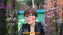 黑森林社区在线视频,揭秘神秘社区背后的在线生活画卷