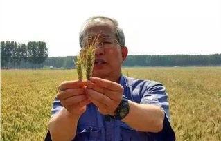 农民老头乐在线视频