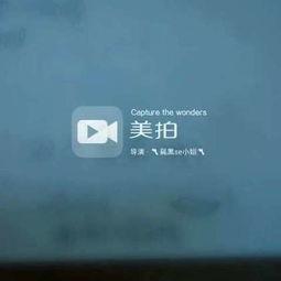 小姐se在线视频,一场视觉与情感的盛宴