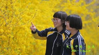 校园春色 在线视频直播