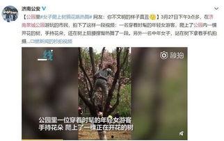 摘花第一次在线视频观看,网络直播下的视觉盛宴