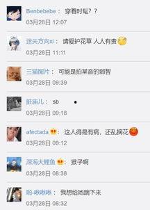 摘花第一次在线视频观看,网络直播下的视觉盛宴