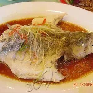 暗暗干粉鱼在线视频,揭秘神秘水下生物的生存智慧