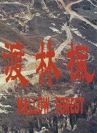 枫林在线视频毛片,揭秘网络色情内容的阴暗面