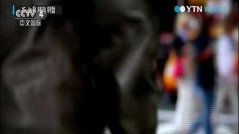 极端另类国外在线视频,极端另类国外在线视频大揭秘