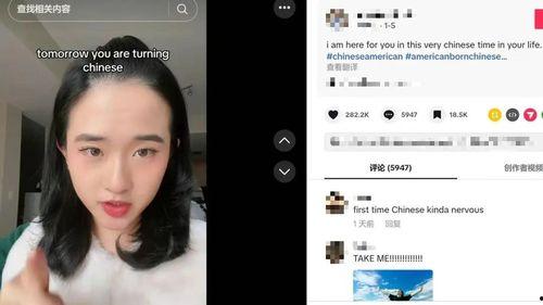 海外华裔在线视频,展现多元文化魅力与心灵共鸣