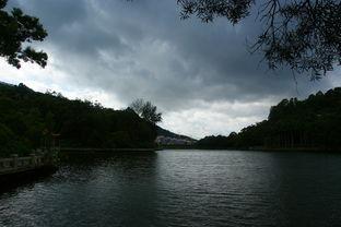 银湖导在线视频,揭秘金融投资领域的智慧导航