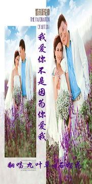 玖叶草在线视频,探索自然之美，感受生命力量