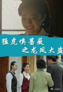 猛虎蔷薇在线视频,探寻在线视频中的激情与诗意