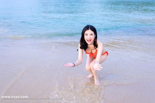 在线视频国产淑女网址,网络红人的魅力与争议