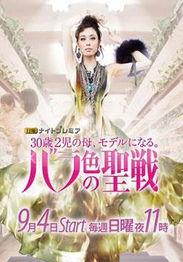 吹石在线视频 下载,下载攻略与精彩内容一览