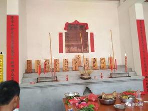 后入动态在线视频