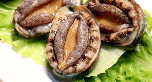 你懂的鲍鱼在线视频,在线视频带你领略海鲜美食的魅力