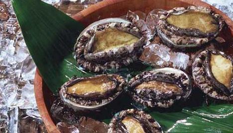 你懂的鲍鱼在线视频,在线视频带你领略海鲜美食的魅力