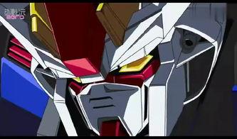 williamseed在线视频  第2张